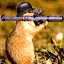 Dorwag